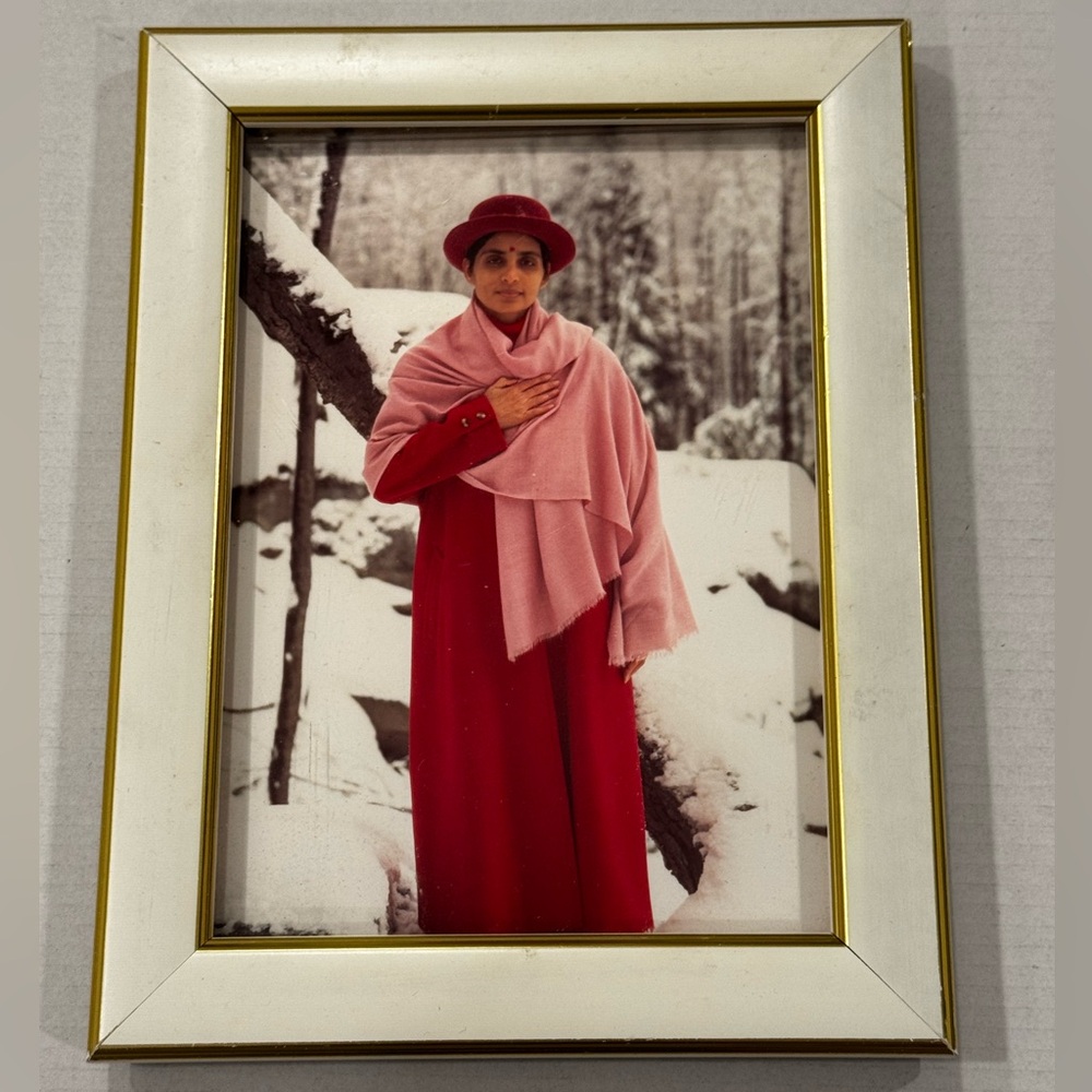 Gurumayi Chidvilasananda Framed Photo Photograph Siddha Yoga Snow